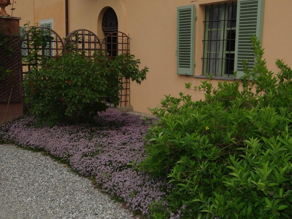 B&B Il Quadrifoglio Sciolze Eksteriør billede